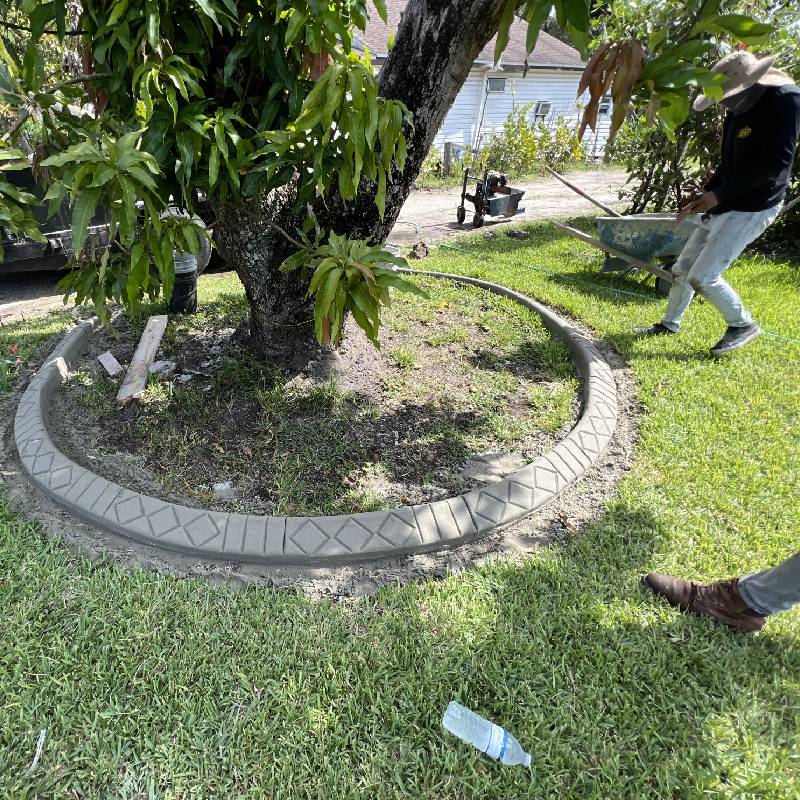 decorative curbing tree
